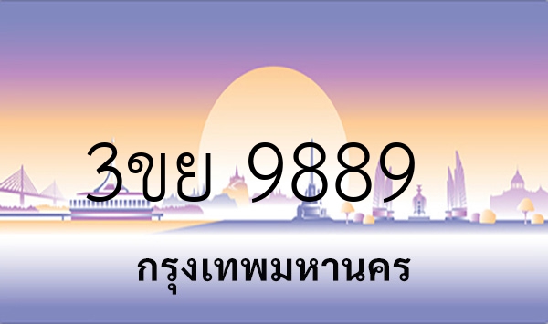3ขย 9889